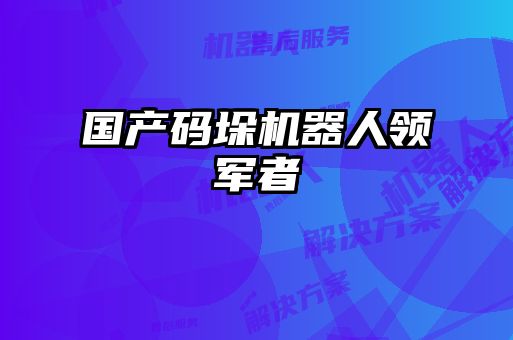 國(guó)產(chǎn)碼垛機(jī)器人領(lǐng)軍者